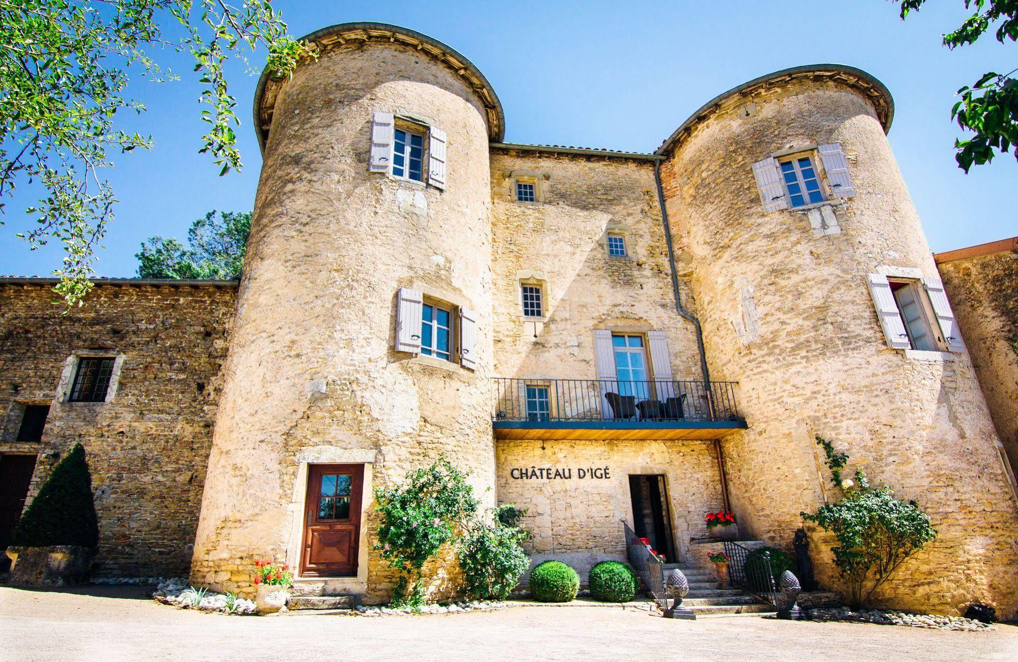 Chateau D'Ige Dış mekan fotoğraf